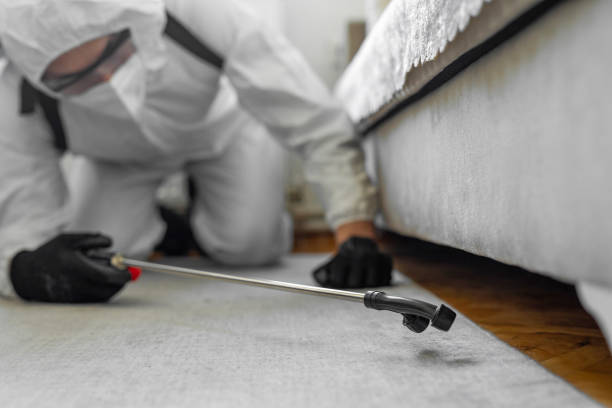 Professional Mosquito Control technician working in Helena Valley Northeast, MT