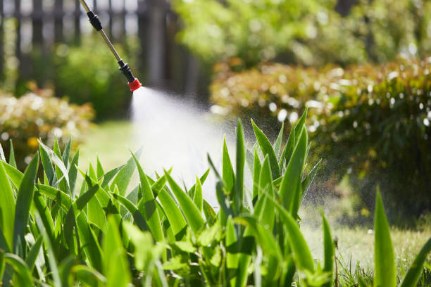 24/7 Emergency Mosquito Control experts in Helena Valley Northeast, MT