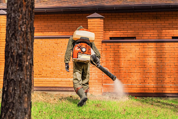 Trusted Mosquito Control service in Helena Valley Northeast, MT - Nex Pest Control